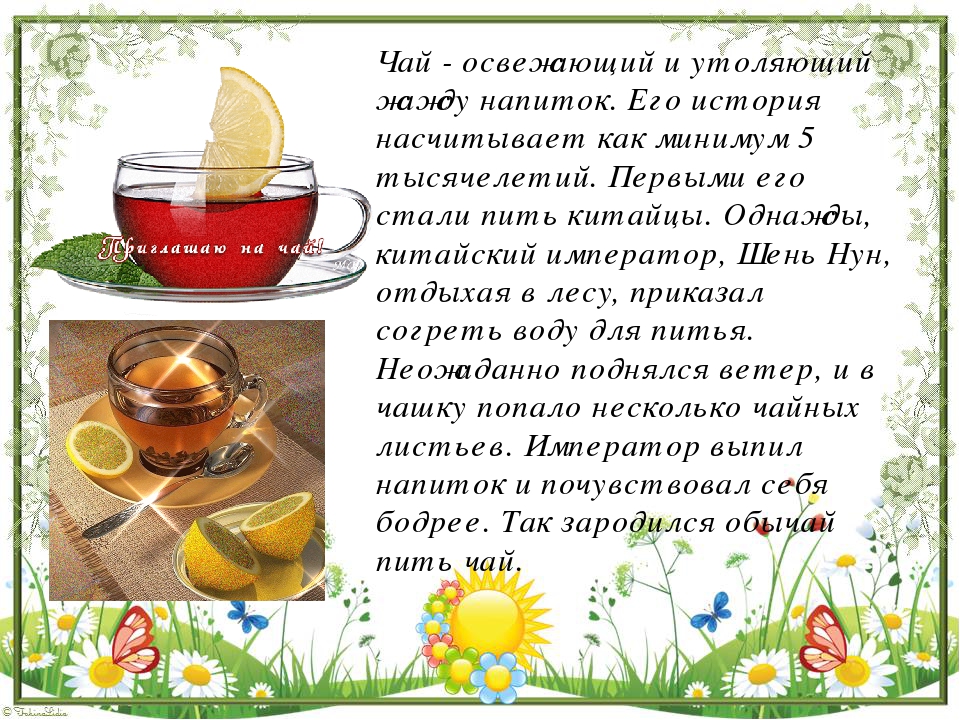 Уютные статусы про чай | lovetrue.ru