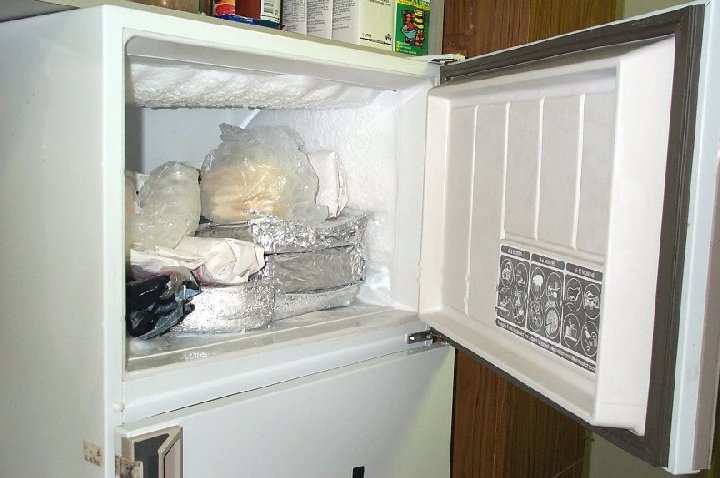 Правила транспортировки и первого подключения холодильника