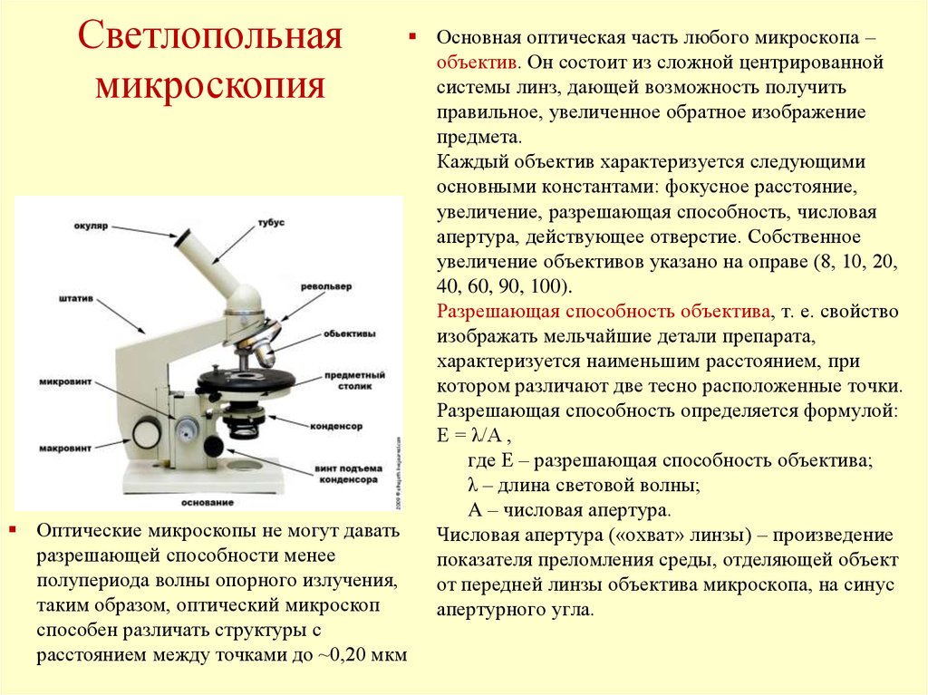 Какую роль играет объектив. Световой микроскоп строение микровинт. Оптический микроскоп строение. Световой микроскоп строение макровинт. Макровинт у светового микроскопа.