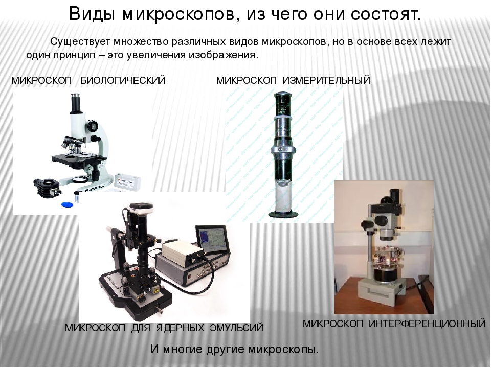 Микроскоп цифровой строение и описание 5 класс. Микроскопы строение и виды. Разновидности микроскопов. Типы современных микроскопов. Современные электронные микроскопы.