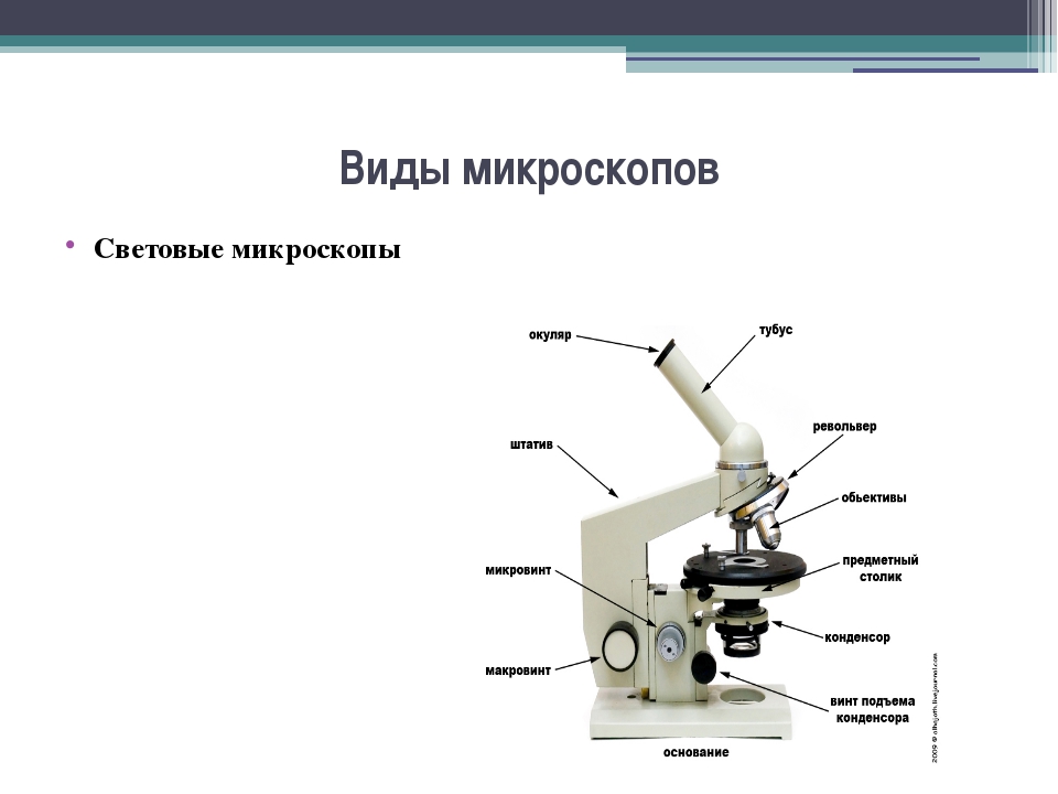 Части цифрового микроскопа и их названия. Световой микроскоп Биолам строение. Строение микроскопа 5 класс окуляр. Микроскоп виды микроскопии. Микроскоп как оптический прибор схема.