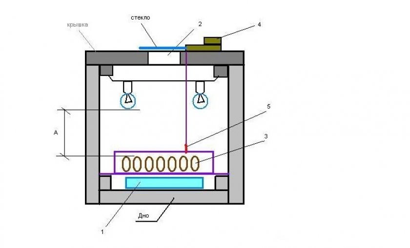 Как выглядит терморегулятор для инкубатора: общие сведения об устройстве Изготовление терморегулятора с датчиком температуры для инкубаторов своими руками Принцип работы оборудования Особенности сборки термостата