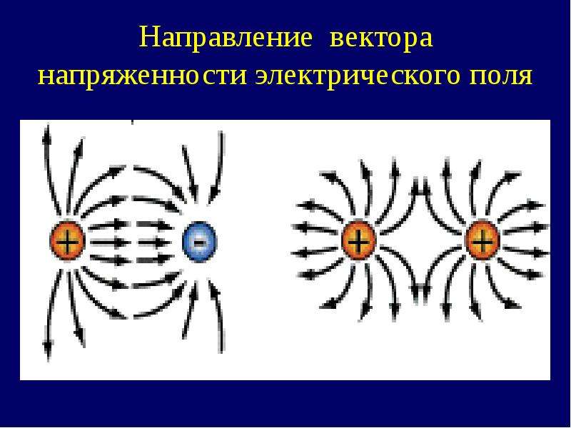§ 19. напряжённость электростатического поля. принцип суперпозиции: напряжённость электростатического поля
