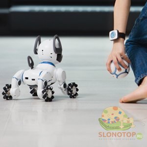 Робот-собака aibo. история создания и развития