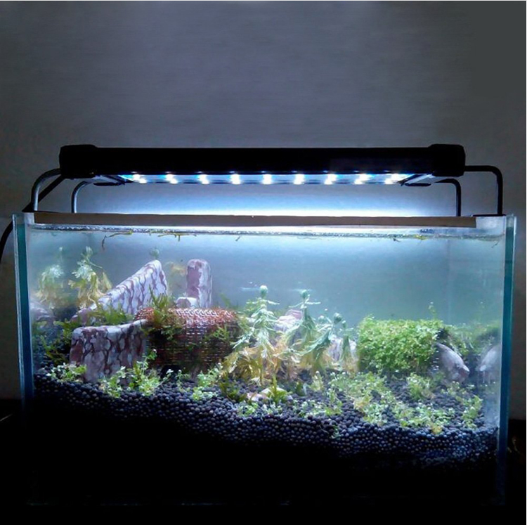 Светодиодное освещение аквариума, и как его правильно выбрать