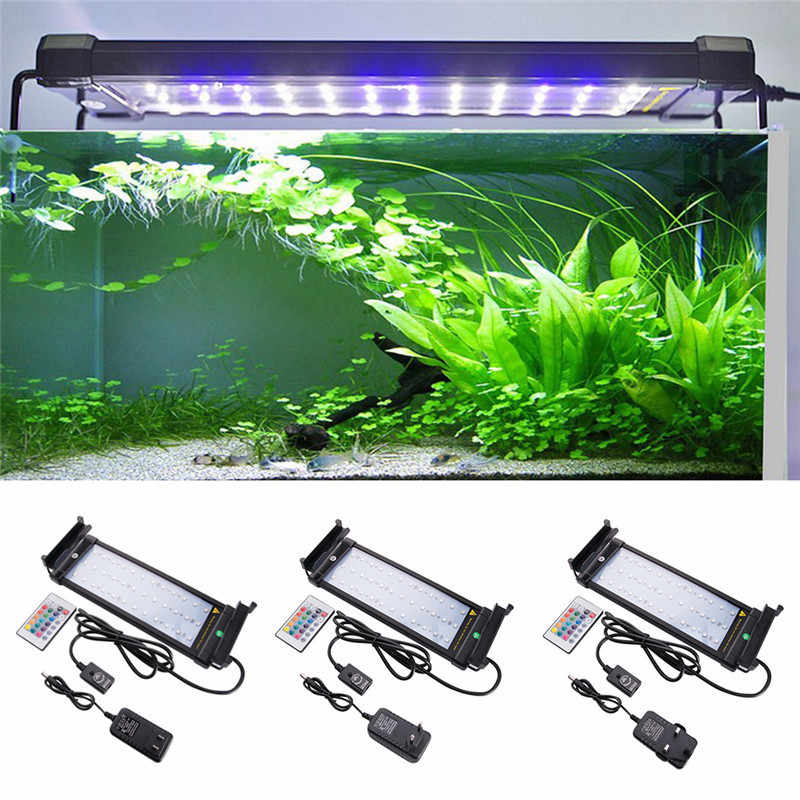 Рассмотрен вариант освещения аквариума светодиодными лампами Как сделать экономичный и современный свет в аквариуме своими руками из подручных материалов